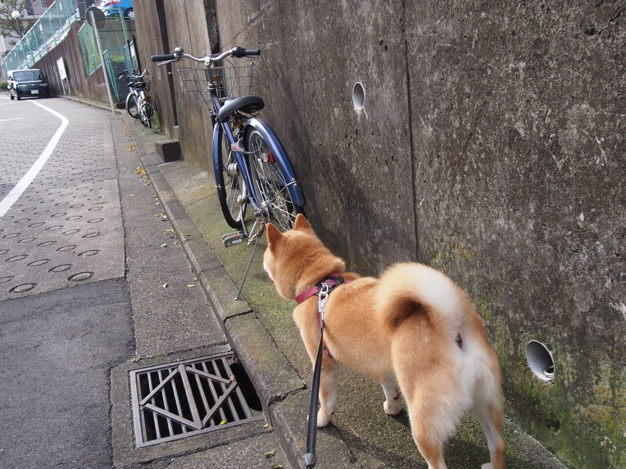 爱游戏tv-绿茵场上的奥亚尔萨瓦尔时刻与历史回响中的贝蒂斯封锁，破局的勇毅与困局的启示