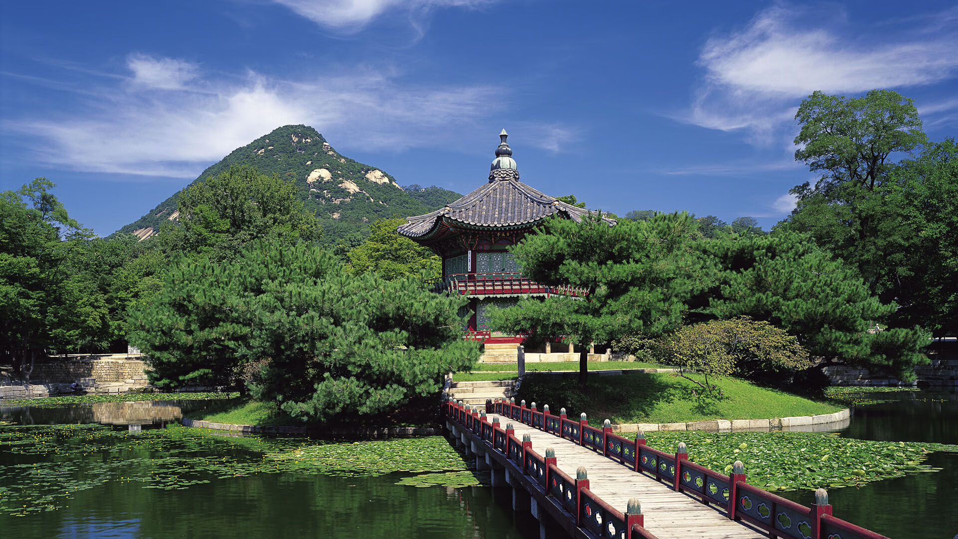 绿茵争锋与篮坛鏖战，悬念背后的竞技哲学