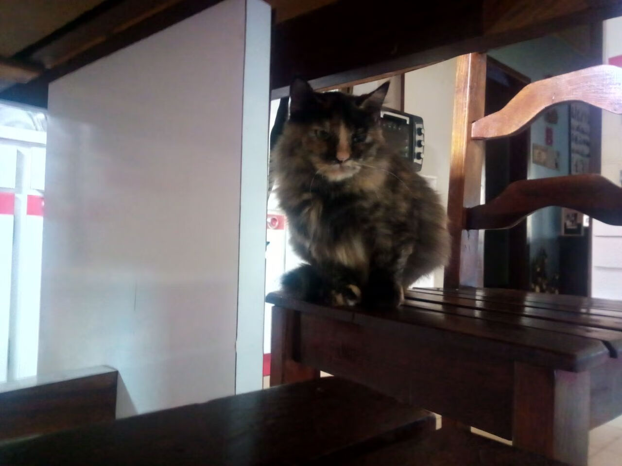 巴拉圭对阵洪都拉斯，厄德高压制级发挥成比赛转折点