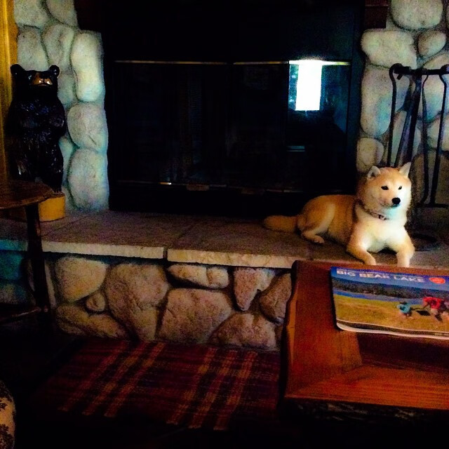 冰火淬炼，铁闸卡瓦哈尔轰出拜仁争冠曙光